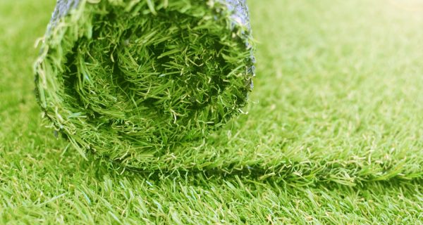 AdobeStock_236304653-min AdobeStock_236304653-min