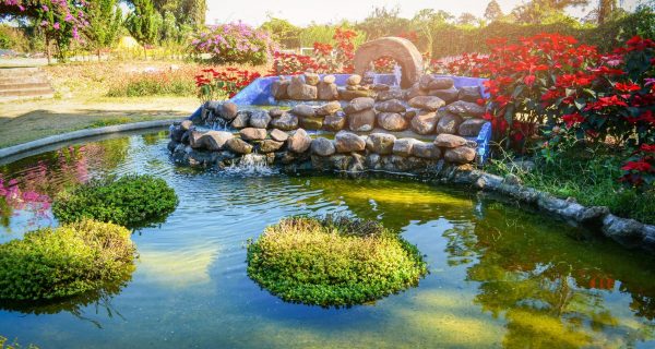 AdobeStock_256083680-min AdobeStock_256083680-min