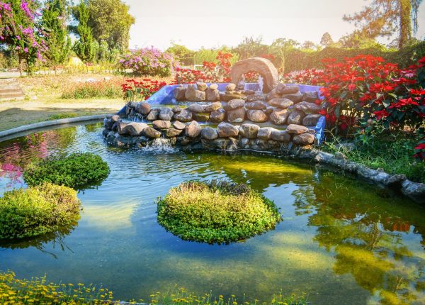 AdobeStock_256083680-min