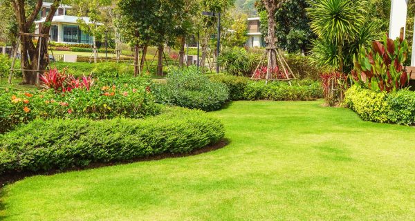 AdobeStock_267542410-min (1) AdobeStock_267542410-min (1)