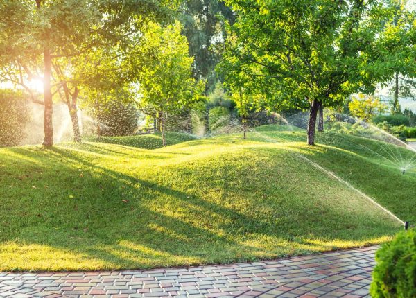 AdobeStock_280937408-min