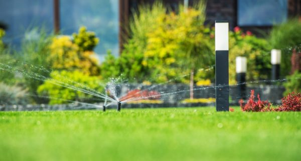 AdobeStock_498968603-min AdobeStock_498968603-min