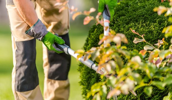 AdobeStock_512397760-min AdobeStock_512397760-min